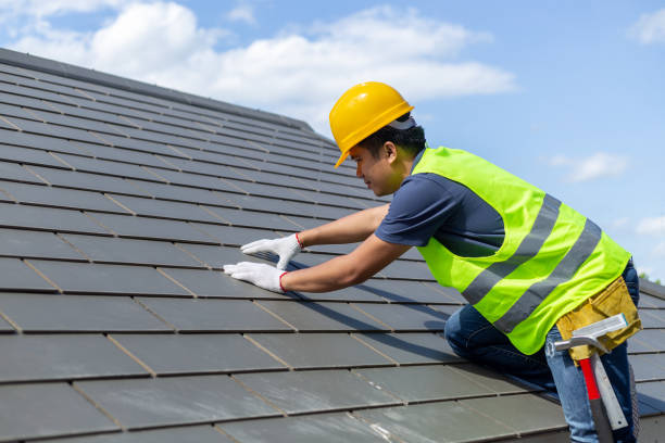 Best Roof Moss and Algae Removal  in Penhook, VA